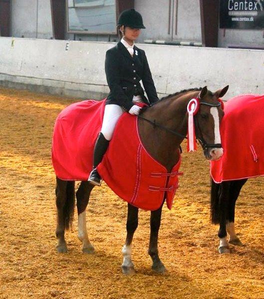 Tysk Sportspony Artos B-pony - Præmieoverrækkelse. <3 billede 5