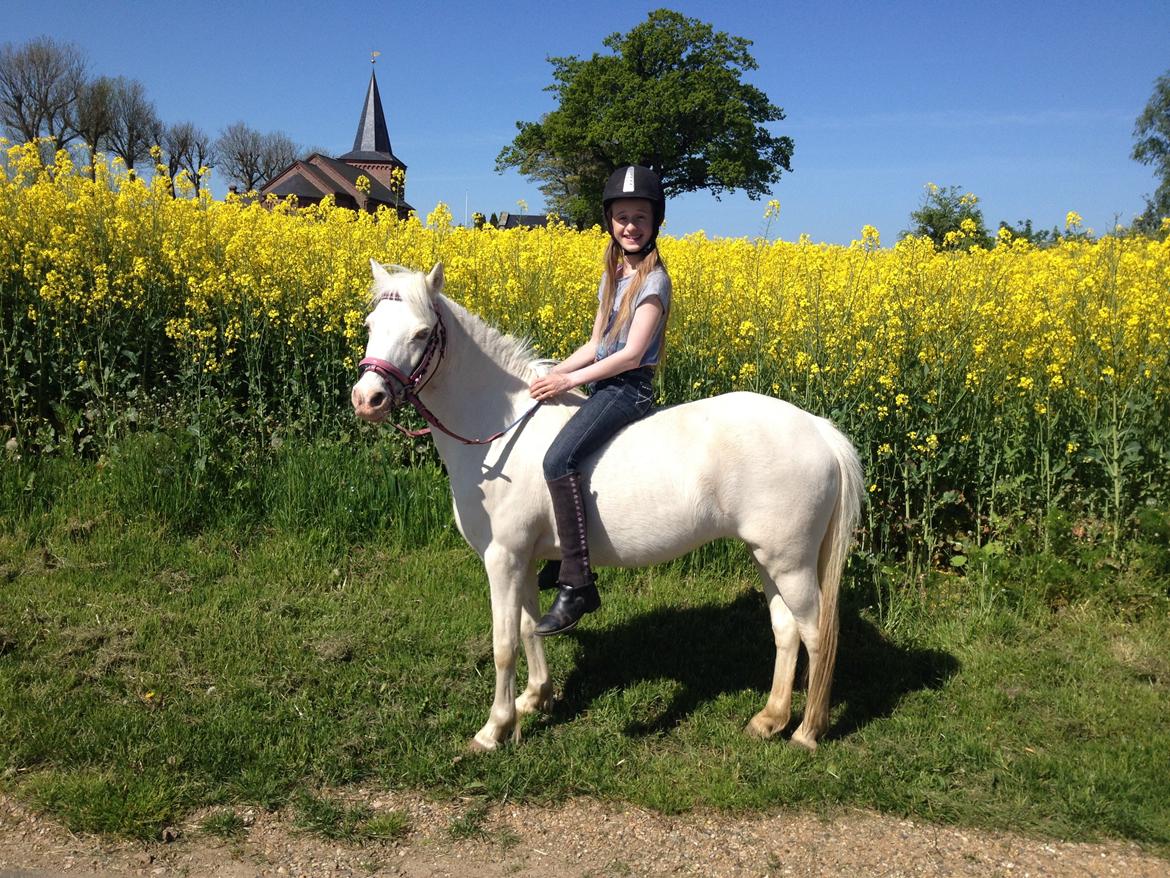 Anden særlig race Perle - Tur med LÆKKER udsigt og pony - Sommeren 2014 billede 4