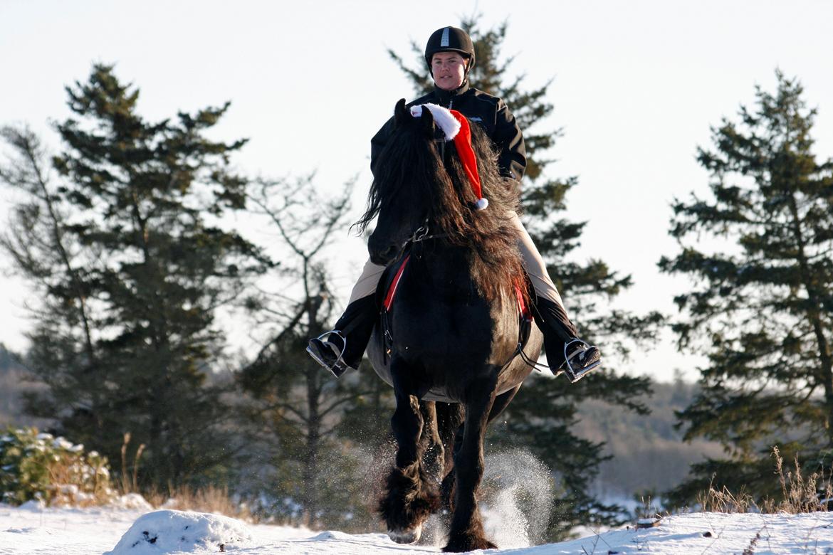 Frieser Herros van den Eppenzolder - #16. Herros med julepynt December 2012. billede 14