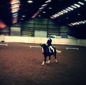 Anden særlig race Krogsgaards Glory billede 4