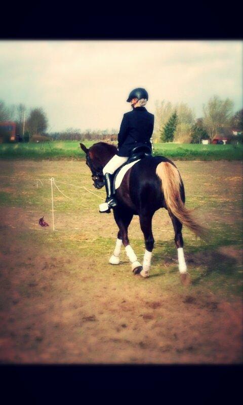 Anden særlig race Krogsgaards Glory billede 8