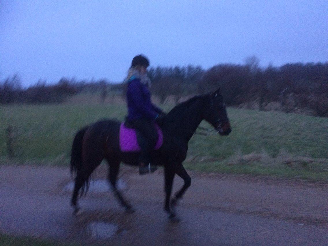 Traver Trussetyven billede 3