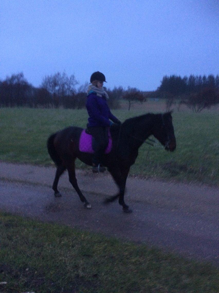 Traver Trussetyven billede 4