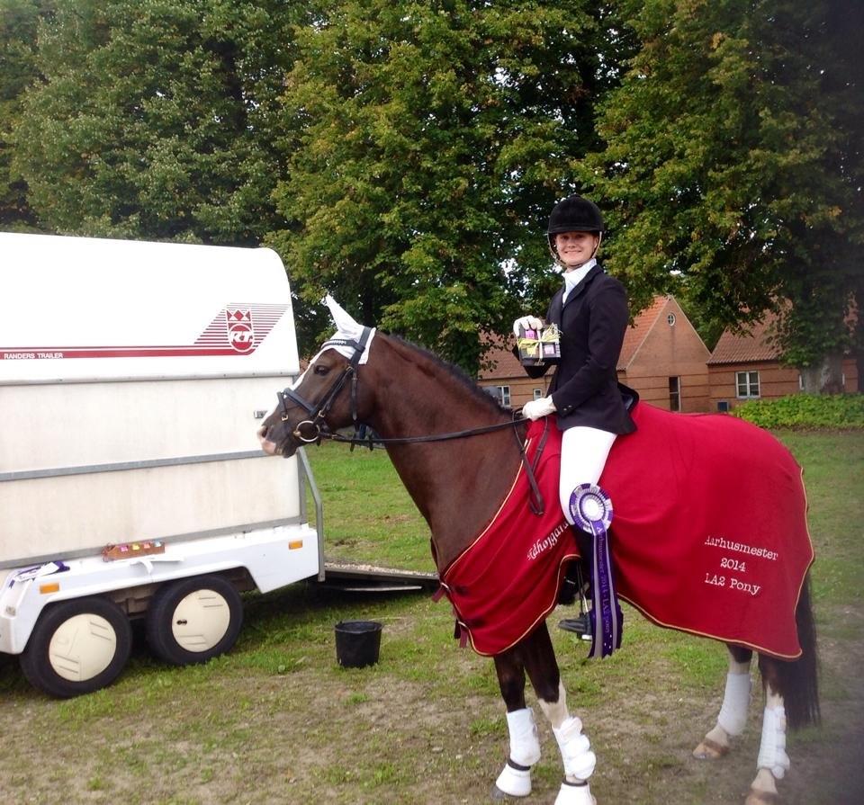 DSP Kalido Wales - velkommen til Kalido´s side  billede 1