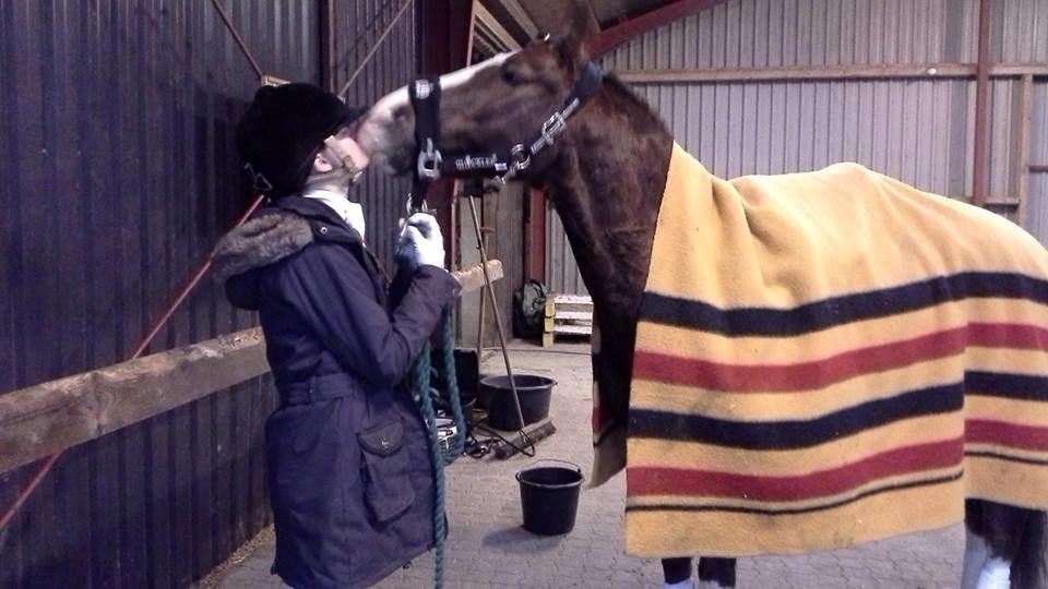 DSP Kalido Wales billede 3