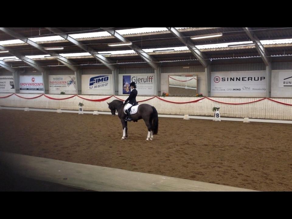 DSP Kalido Wales - første PRI sammen billede 6