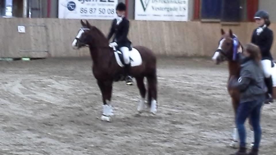 DSP Kalido Wales billede 7