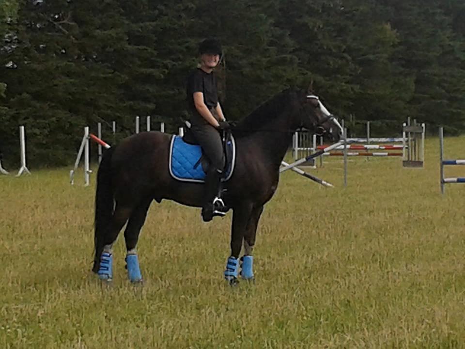 DSP Kalido Wales - inden undervisning  billede 9