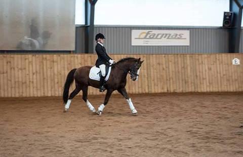 DSP Kalido Wales - anden stævne sammen  billede 10