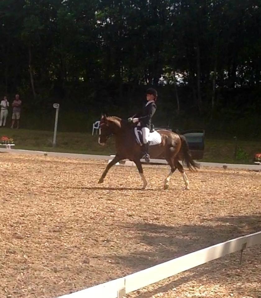 DSP Kalido Wales billede 11