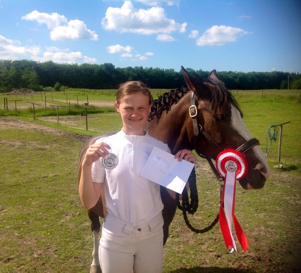 DSP Kalido Wales - vinder af LA2 billede 12