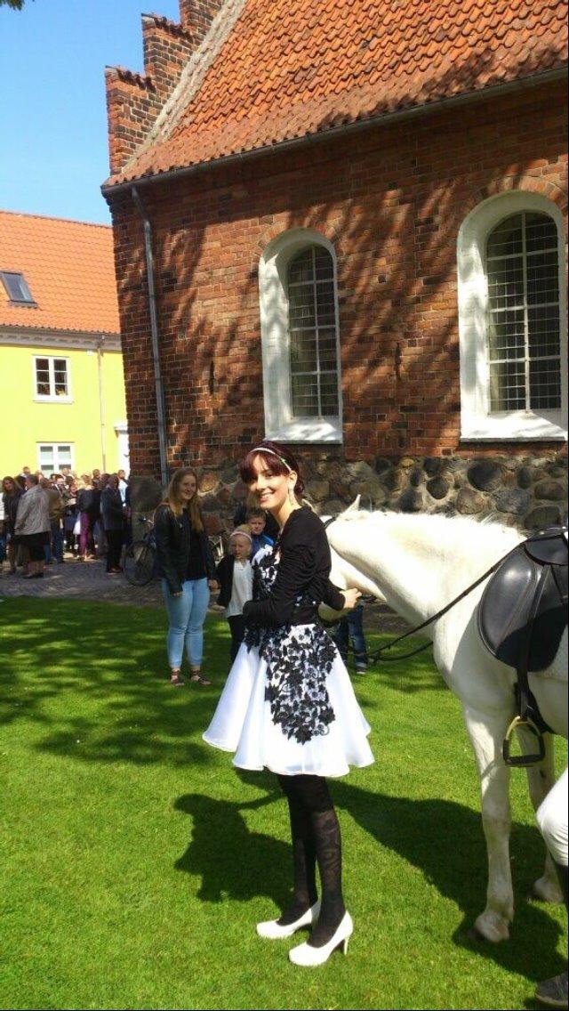 Knabstrupper Bøgelyens Dusty [tidligere hest] billede 25