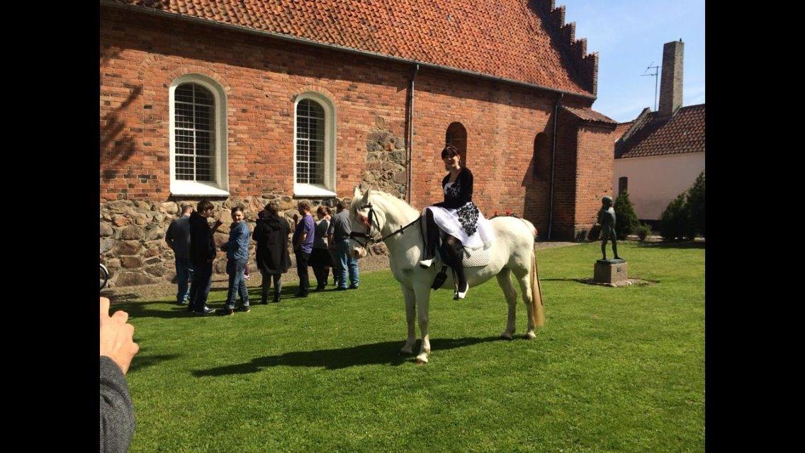 Knabstrupper Bøgelyens Dusty [tidligere hest] billede 26