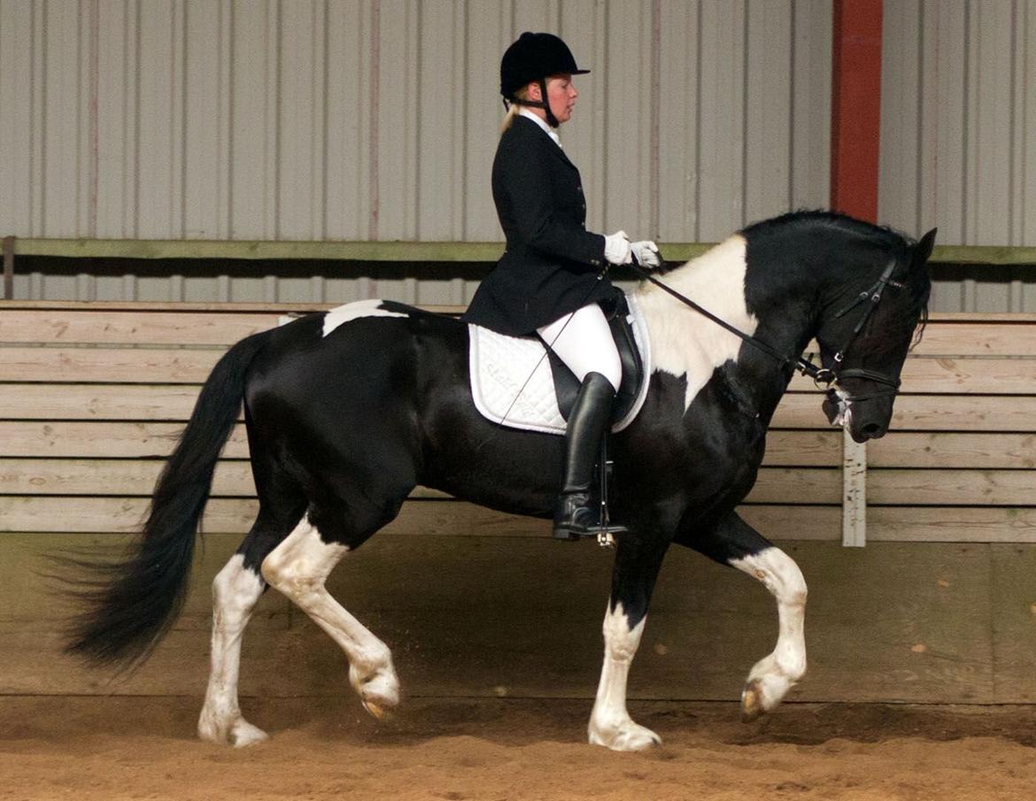 Barockpinto Jeopardy af Boelaa. PINBH 3 billede 15