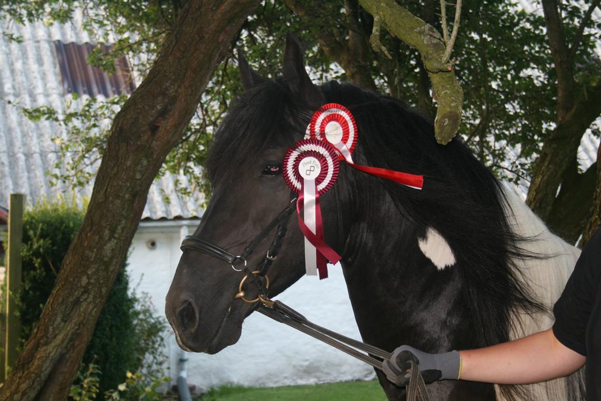 Barockpinto Jeopardy af Boelaa. PINBH 3 billede 3