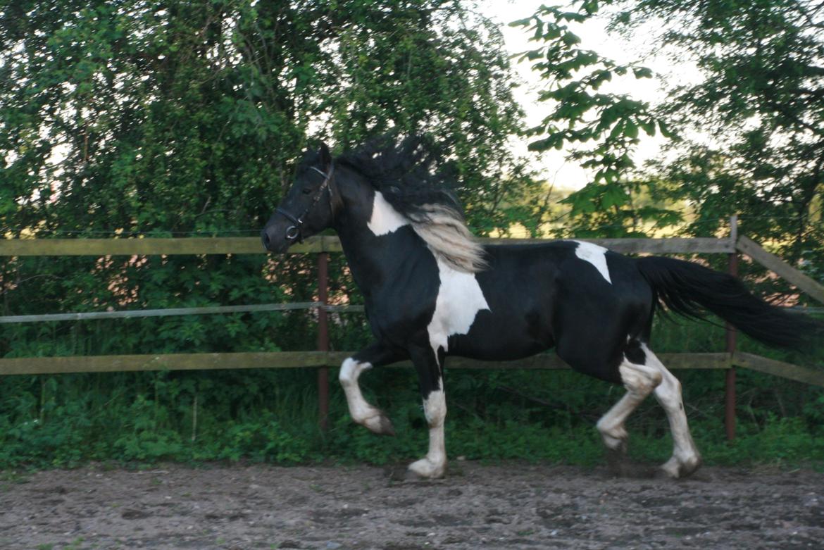 Barockpinto Jeopardy af Boelaa. PINBH 3 billede 12