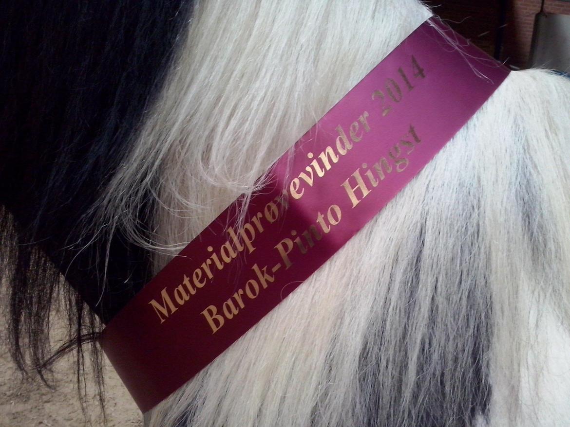 Barockpinto Jeopardy af Boelaa. PINBH 3 billede 4