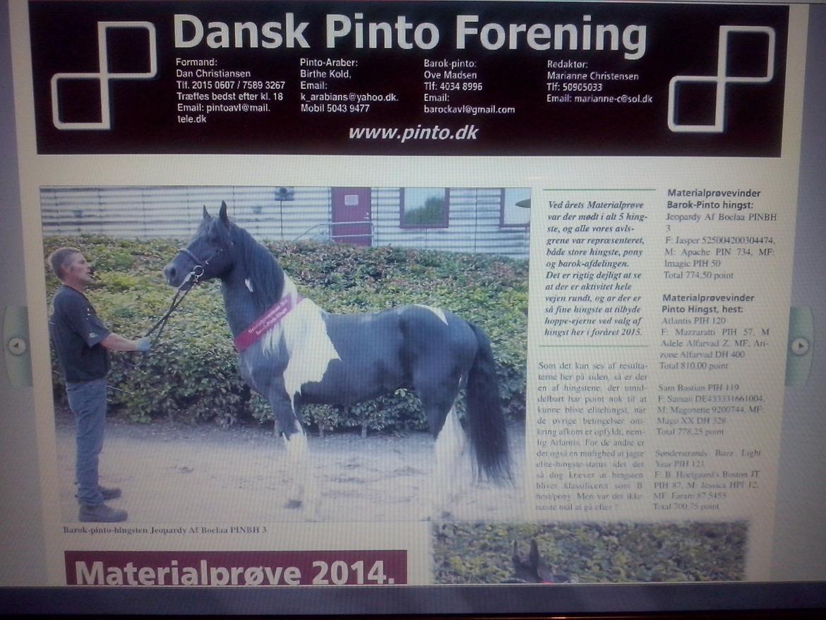 Barockpinto Jeopardy af Boelaa. PINBH 3 billede 14