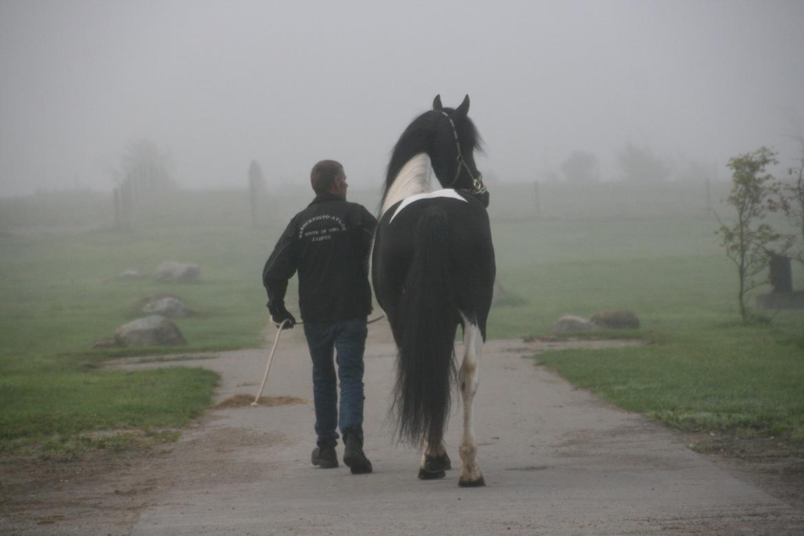 Barockpinto Jeopardy af Boelaa. PINBH 3 billede 5