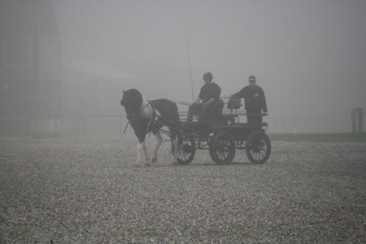 Barockpinto Jeopardy af Boelaa. PINBH 3 billede 6