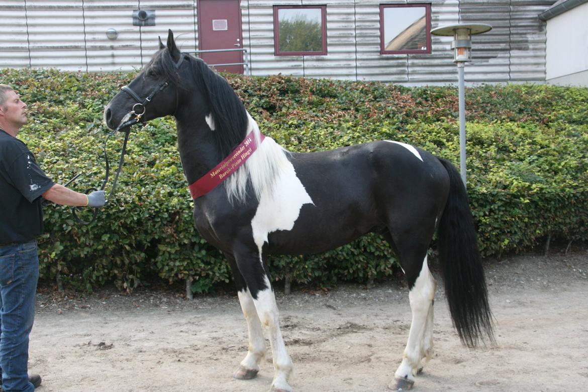 Barockpinto Jeopardy af Boelaa. PINBH 3 billede 7