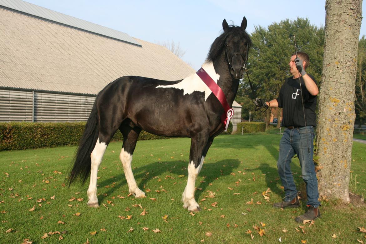 Barockpinto Jeopardy af Boelaa. PINBH 3 billede 8