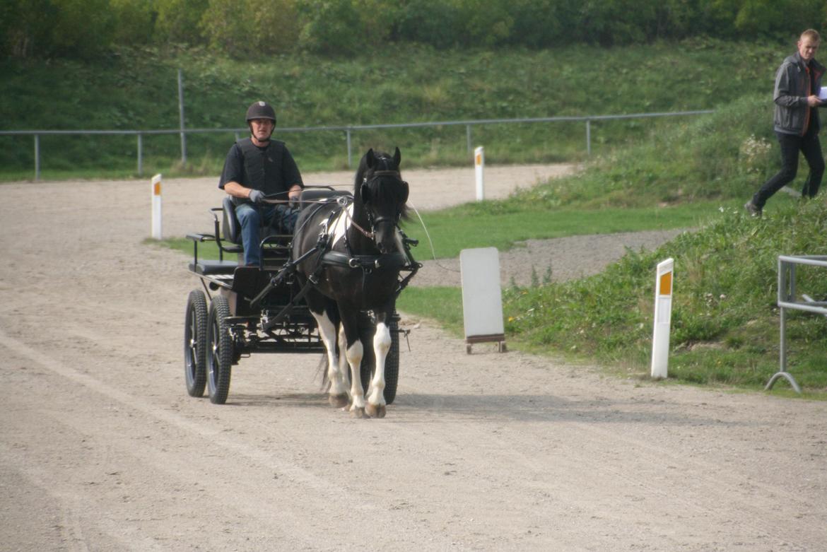 Barockpinto Jeopardy af Boelaa. PINBH 3 billede 9