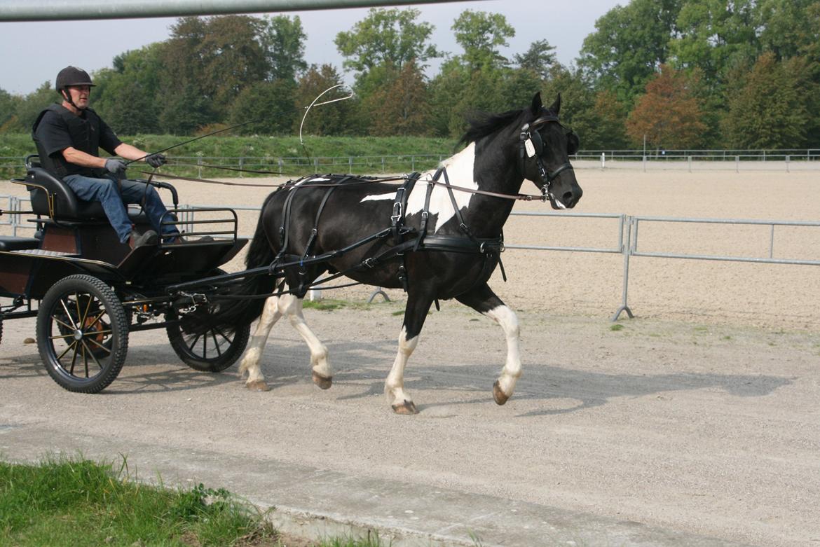 Barockpinto Jeopardy af Boelaa. PINBH 3 billede 10