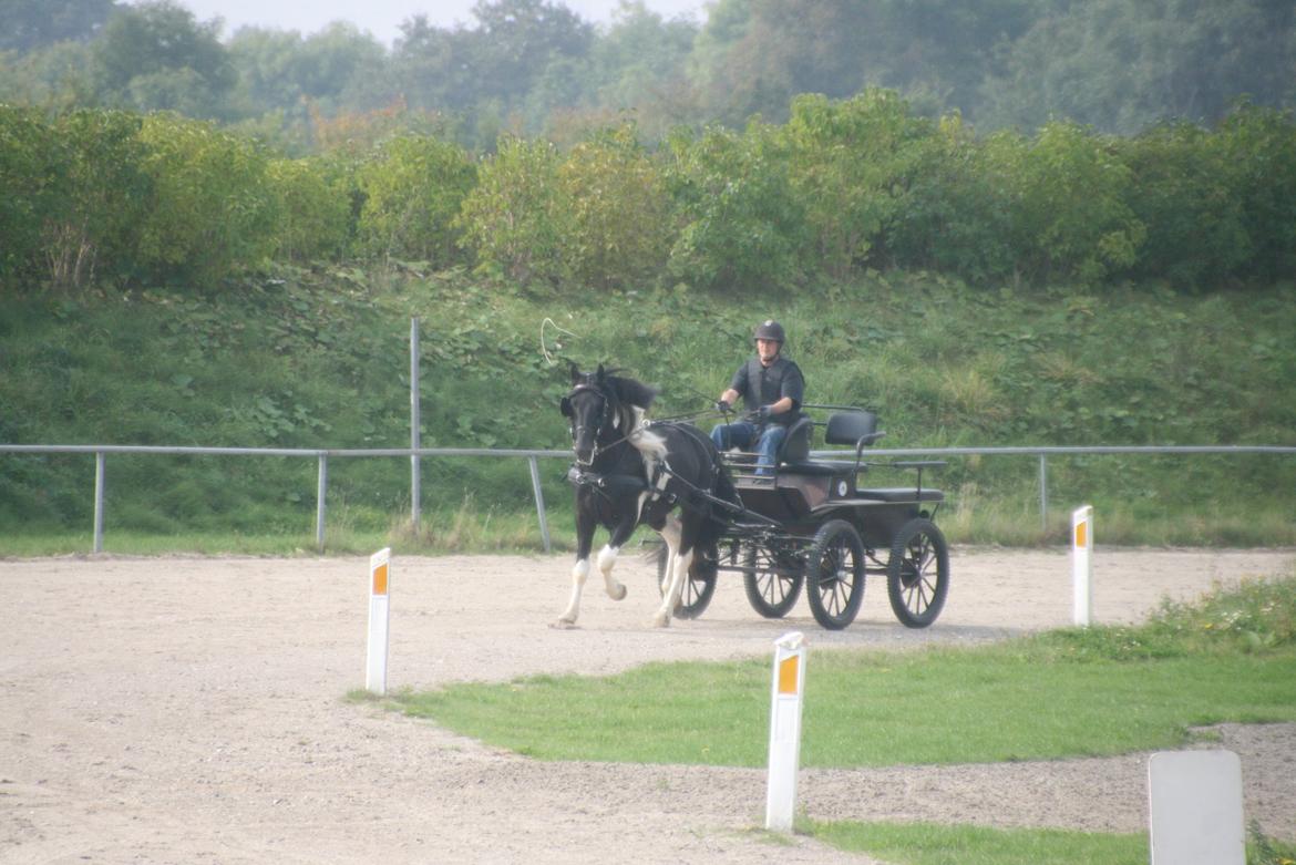 Barockpinto Jeopardy af Boelaa. PINBH 3 billede 11