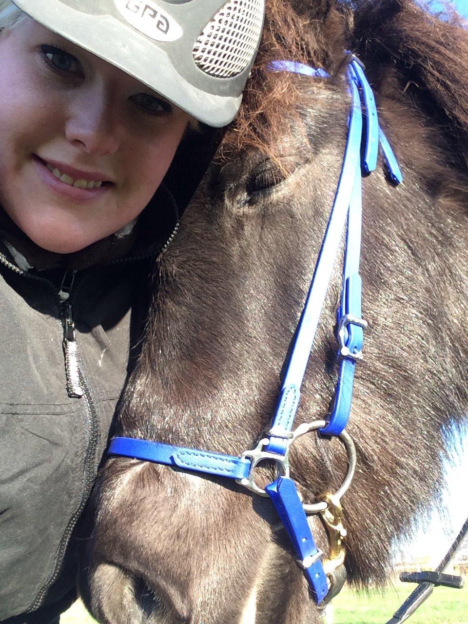 Islænder Gletta fra Puglund  billede 11