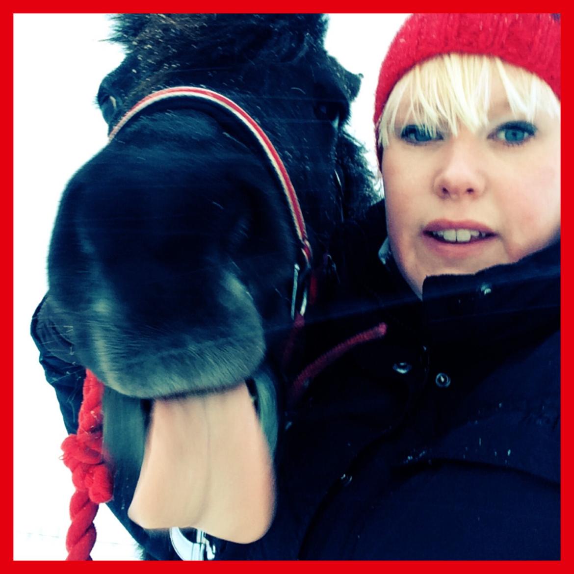 Islænder Gletta fra Puglund  billede 19