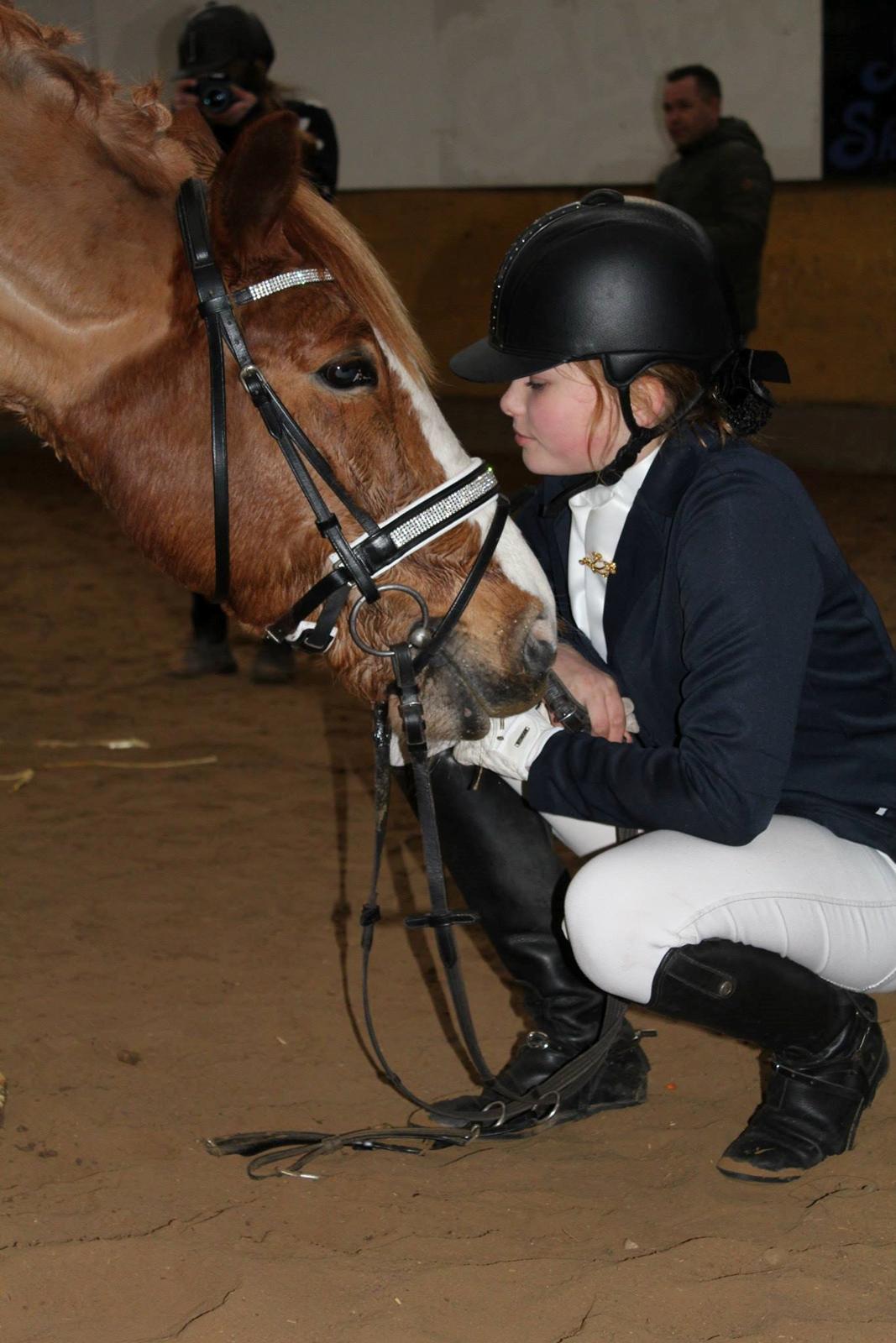 Anden særlig race Eponine!*<3 den bedste pony!<3 billede 2