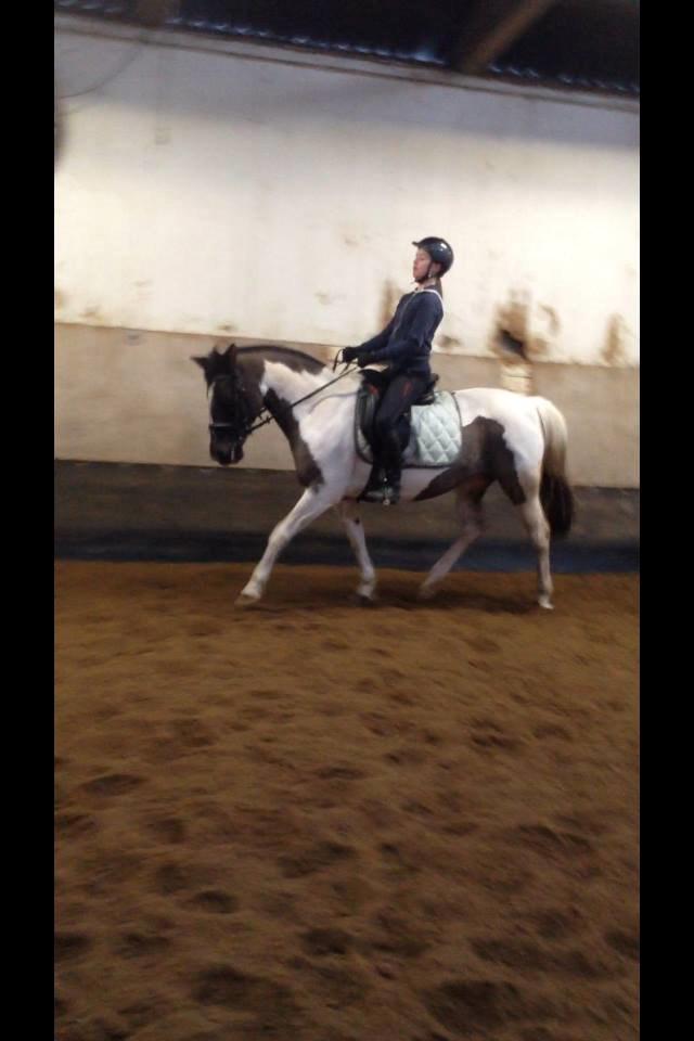 Anden særlig race Fie billede 3