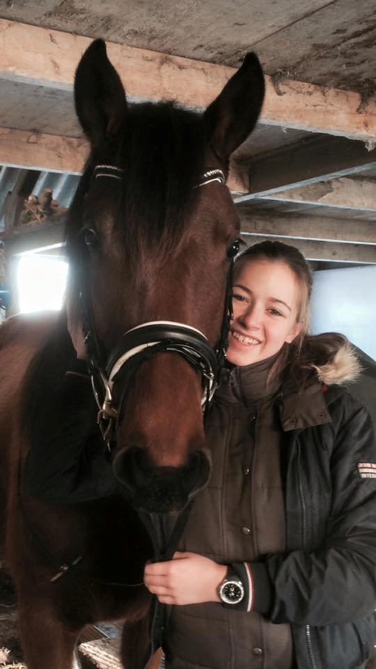 Dansk Varmblod TWINHORS DON'A BALLERINA billede 13