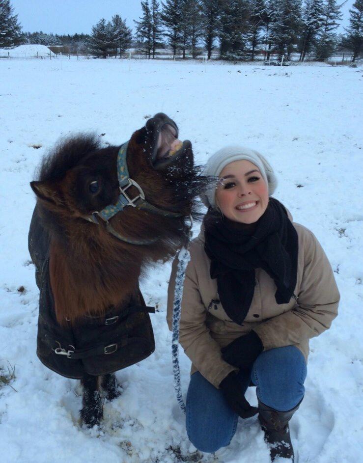 Miniature Fiskergårdens Tino billede 1