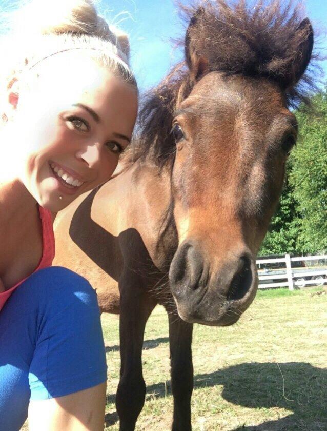 Miniature Fiskergårdens Tino billede 3