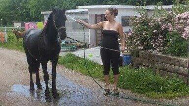 Frieser Uhrbrandsmindes Malik <3 billede 18