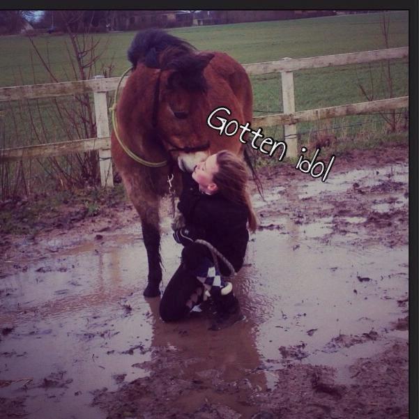 Gotlandsruss Idol - hygge på banen i en vandpyt billede 6