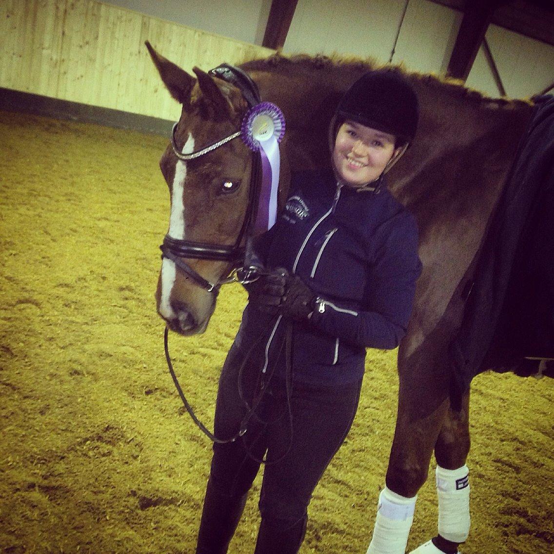 Dansk Varmblod Déjà Vu billede 19