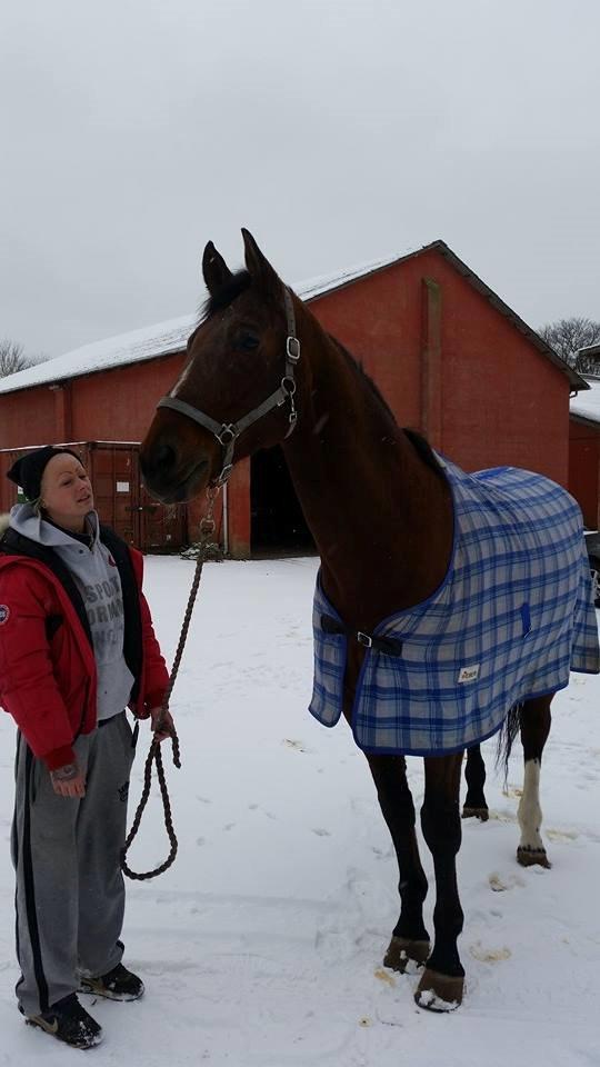 Zweibrücker Gentlemanns jazz billede 10