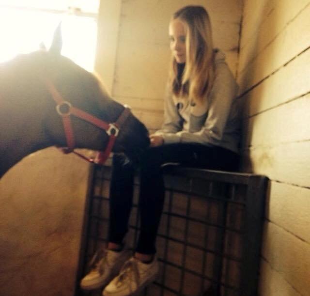 New Forest Veenwijk`s Chester billede 8