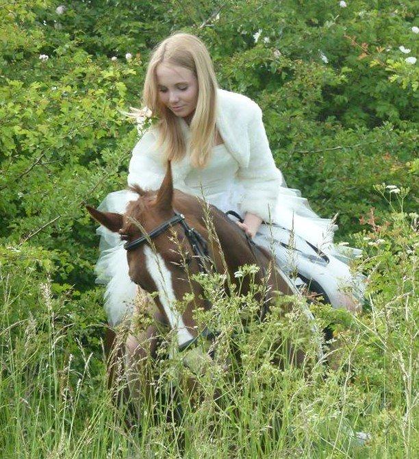 New Forest Veenwijk`s Chester billede 16