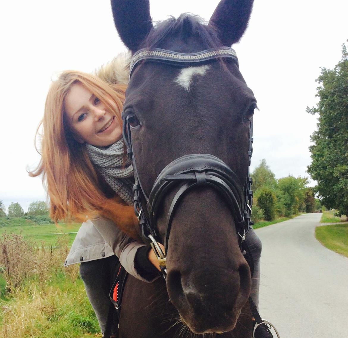 Trakehner Bolero billede 1