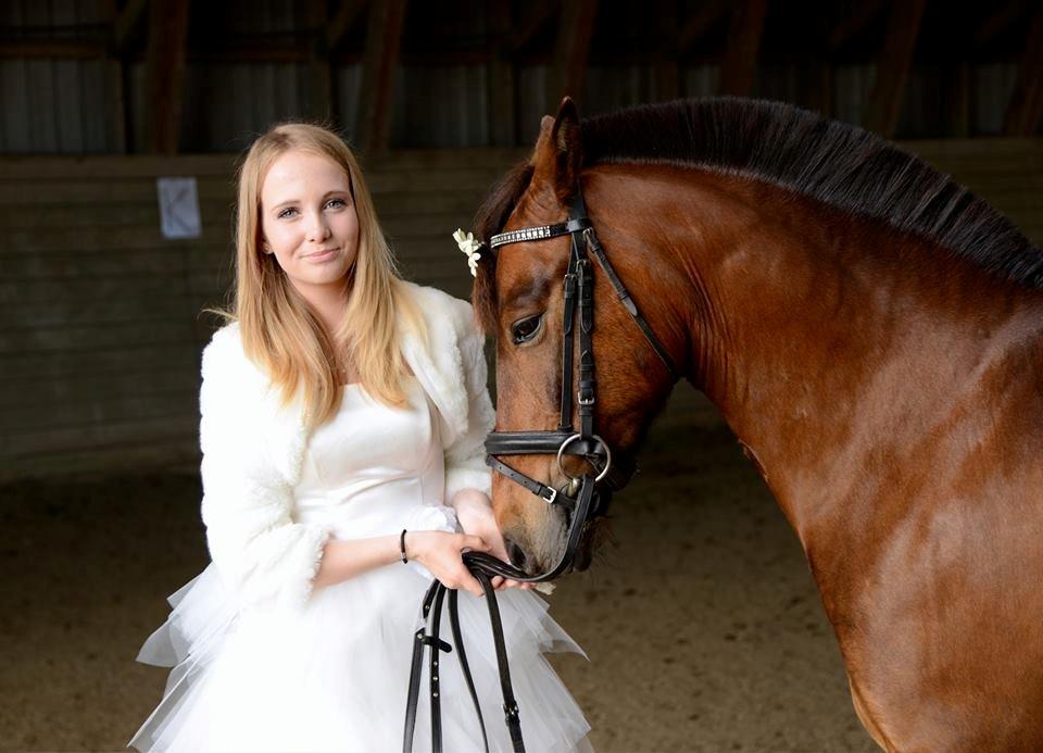 Anden særlig race Damgårdens Mister Mani billede 1