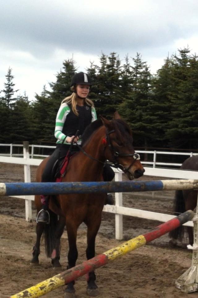 Anden særlig race Damgårdens Mister Mani billede 2