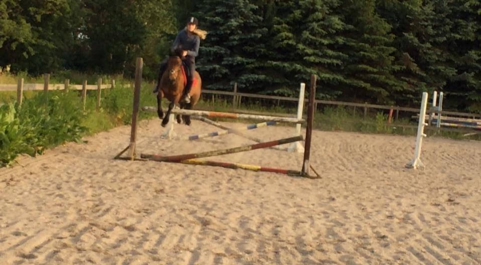 Anden særlig race Damgårdens Mister Mani billede 3