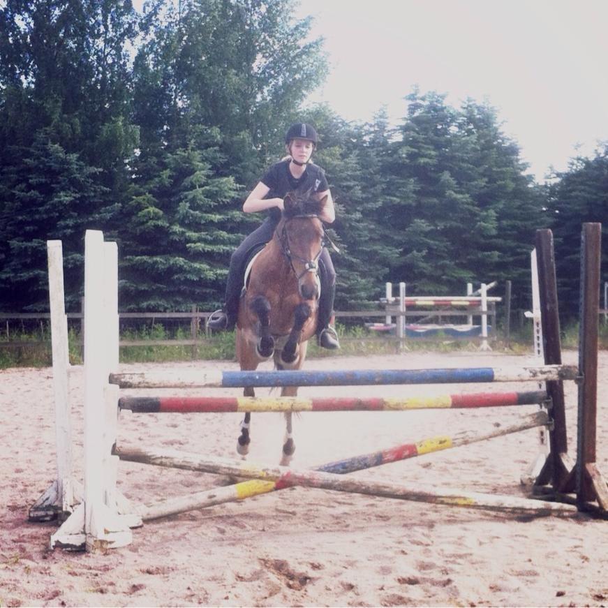 Anden særlig race Damgårdens Mister Mani billede 5