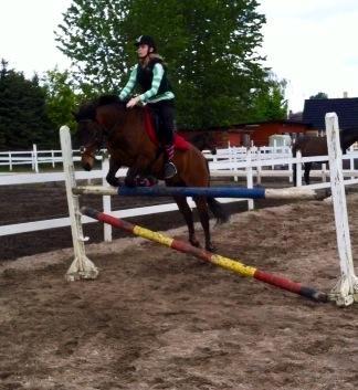 Anden særlig race Damgårdens Mister Mani billede 6