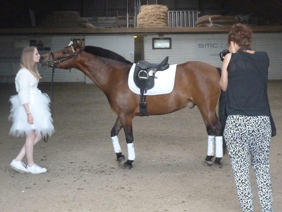 Anden særlig race Damgårdens Mister Mani billede 7