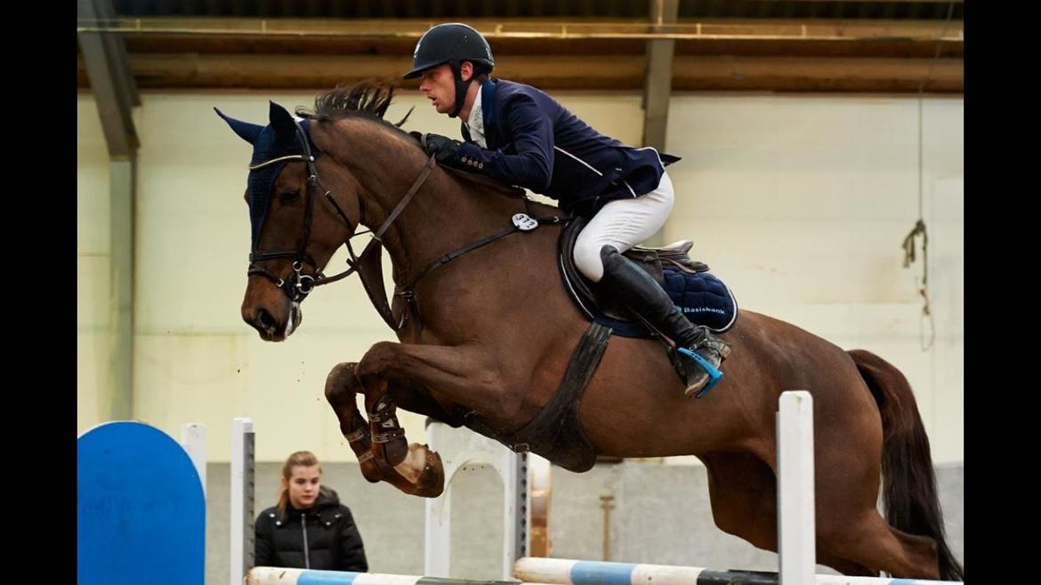 Dansk Varmblod Amillee ravnes-have billede 9